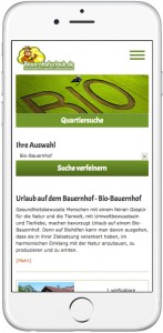 Mobile Ansicht iPhone