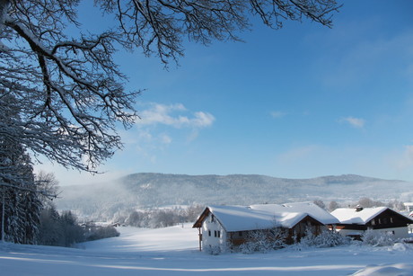 Winterurlaub auf dem Bauernhof - Erlebnisbauernhof Achatz