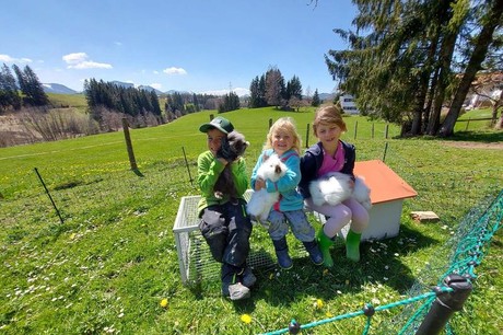 Frühlingsauszeit mit Bergblick - Wangarhof