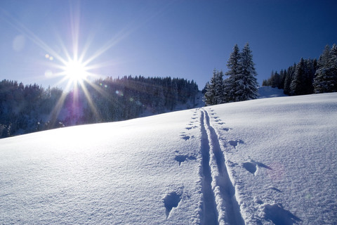 Ski-Spuren im Schnee bei Sonnenschein