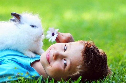 Junge mit Kaninchen