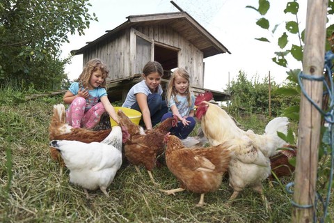 Tierischer Bauernhofurlaub mit ganz viel Freiheit auf dem Schoffahanslhof