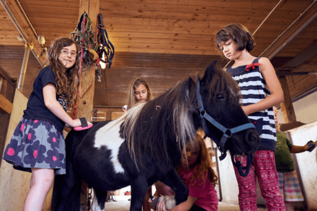 Pony-Wochen auf dem Bambini-Ponyhof