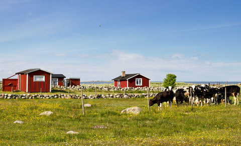 Landschaft in Schweden