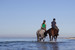 Reiter am Strand entlang der Küste der Insel Usedom