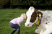 Kind kuschelt mit Kuh