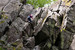 Klettern an der Steinwand in Vogelsberg