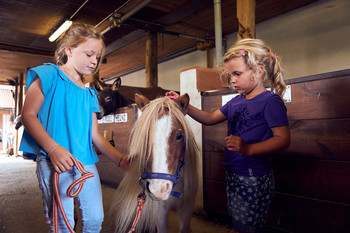 Ponyferien und Familienglück - Bambini-Ponyhof