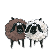 Schafe Wolli und Gustav